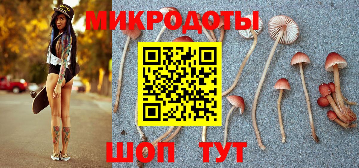 Псилоцибиновые грибы ЛСД  Вход с VPN  Псилоцибиновые грибы Psilocybine cubensis  Гатчина 