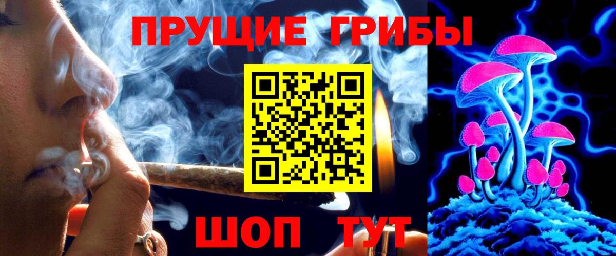 Галлюциногенные грибы Magic Shrooms Гатчина